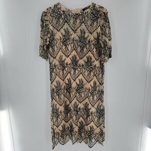 Caara Dress Women's Medium Scalloped Black Lace Overlay Shift Tan Liner Slip